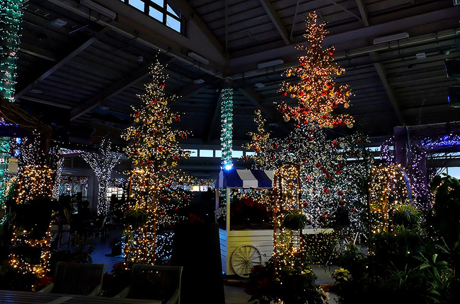 新潟市いくとぴあクリスマスマーケット・新潟県クラフトマンクラブ・Amieseアミーゼ会場