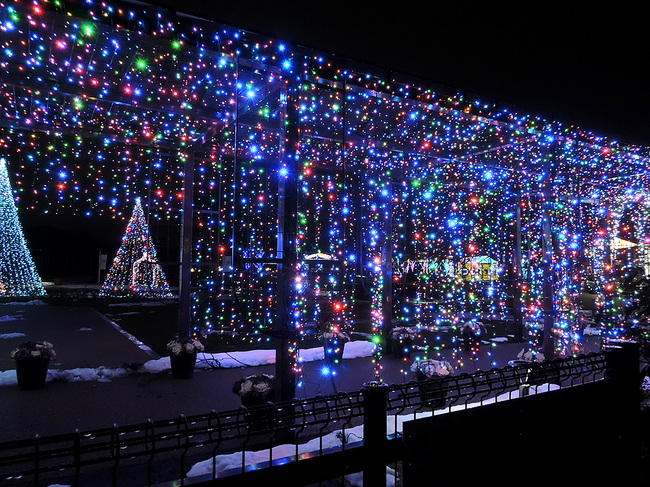 新潟市いくとぴあクリスマスマーケット・新潟県クラフトマンクラブ・Amieseアミーゼ会場屋外