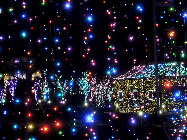 新潟市いくとぴあクリスマスマーケット・新潟県クラフトマンクラブ・Amieseアミーゼ会場屋外2